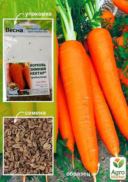 Морковь "Зимний нектар" (Зипер) ТМ "Весна" 5г
