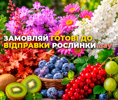 Рослини, готові до відправки