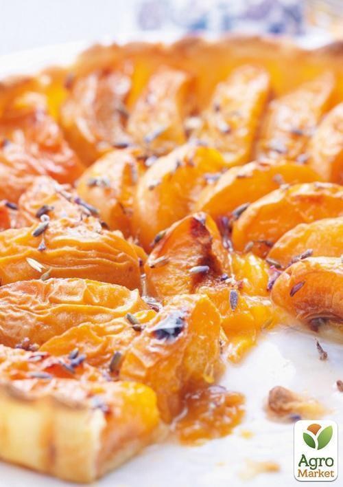 Абрикос "Цар Бибер" (летний сорт, средний срок созревания) - фото 4