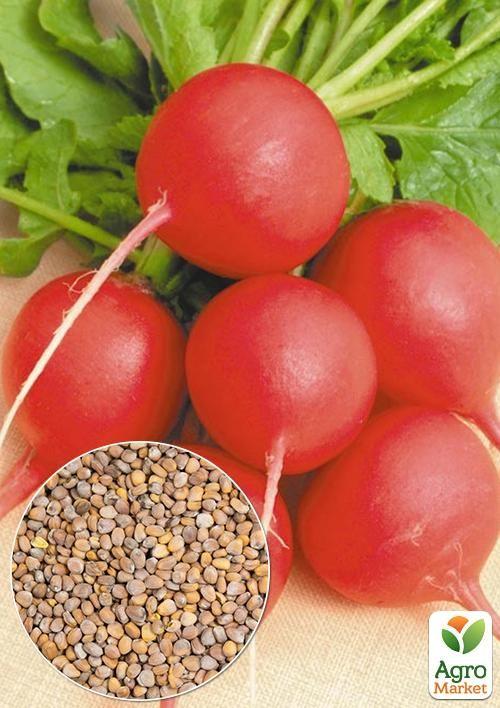 На развес Редис "Краса" ТМ "Весна" цена за 10г