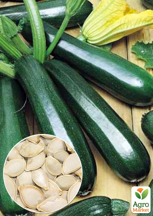 На развес Кабачок "Цыганёнок" ТМ "Весна" цена за 8г