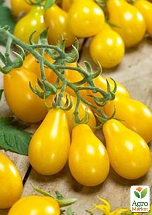 Томат "Бабушкины леденцы" ТМ "Vesna Select" 0.2г