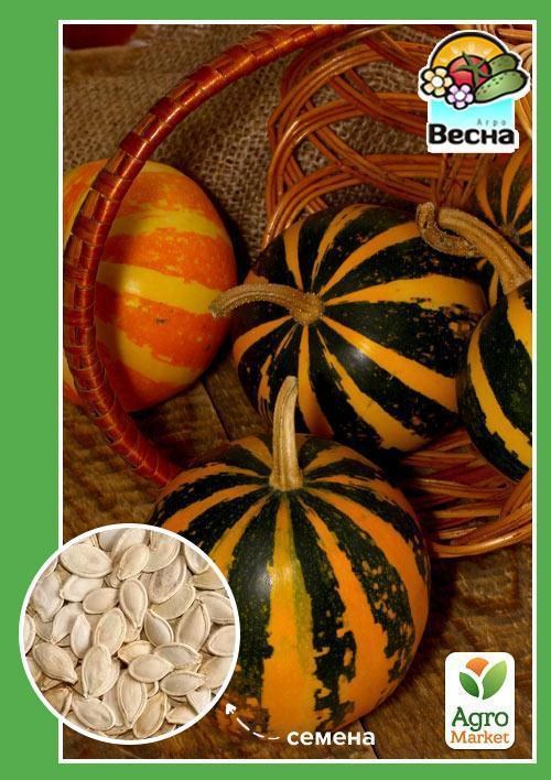 Тыква "Декоративная" ТМ "Весна" 1.5г