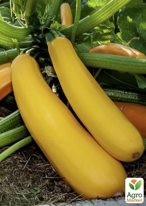 Кабачок "Голдстик F1" ТМ "Профессиональные семена" 5шт - фото 2