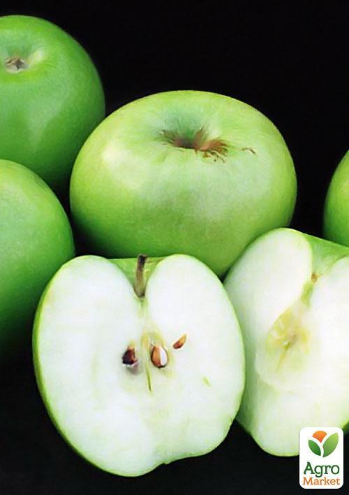 Яблуня "Гренні Сміт" (зимовий сорт, пізній термін дозрівання) - фото 6