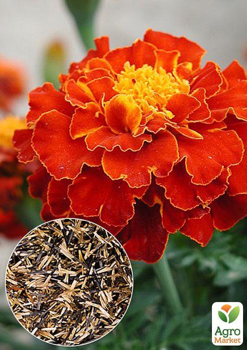 На развес Бархатцы "Кармен" ТМ "Весна" цена за 2г
