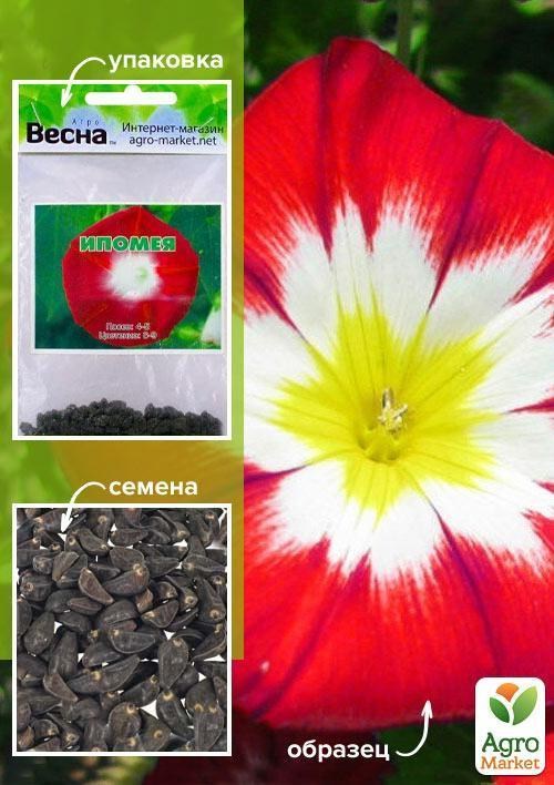 Ипомея красная (Зипер) ТМ "Весна" 1г