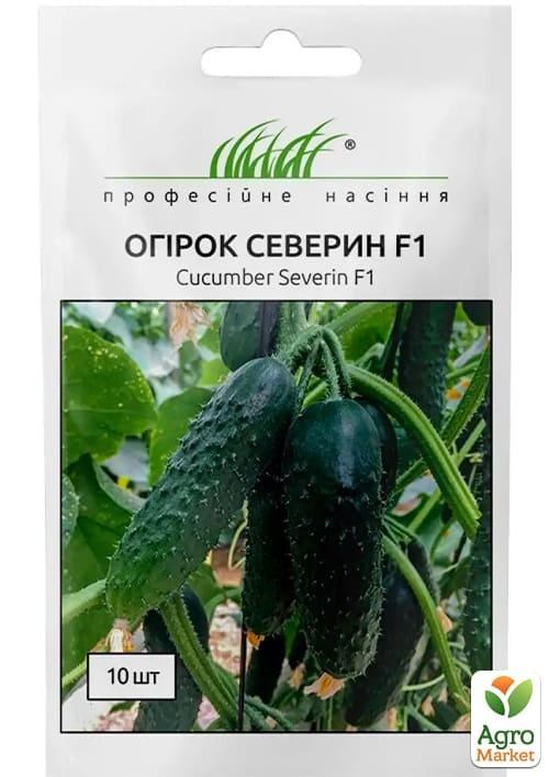 Огірок "Северін F1" ТМ "Hem Zaden" 10шт