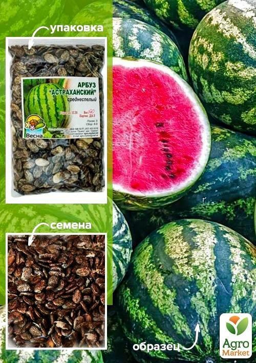 Арбуз "Астраханский" ТМ "Весна" 100г