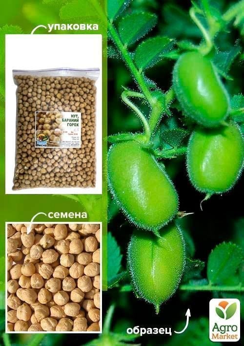 Нут ТМ "Весна" 500г