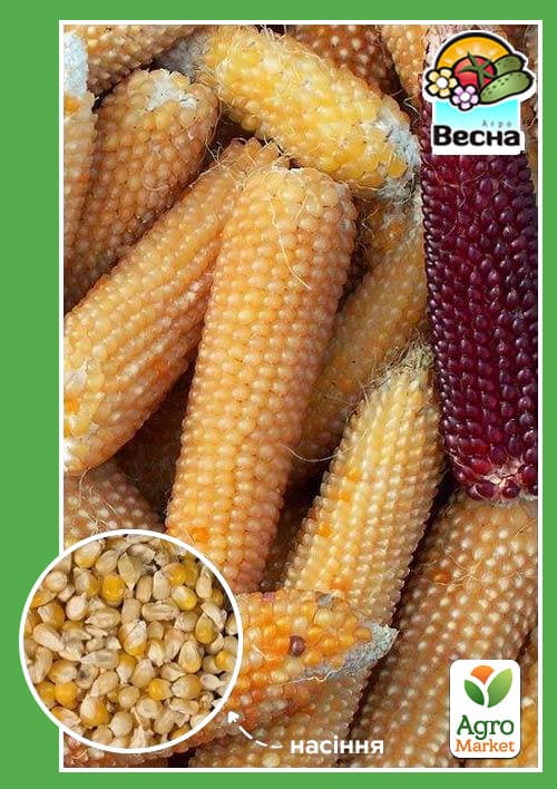 Кукуруза "Поп-корн" ТМ "Весна" 5г