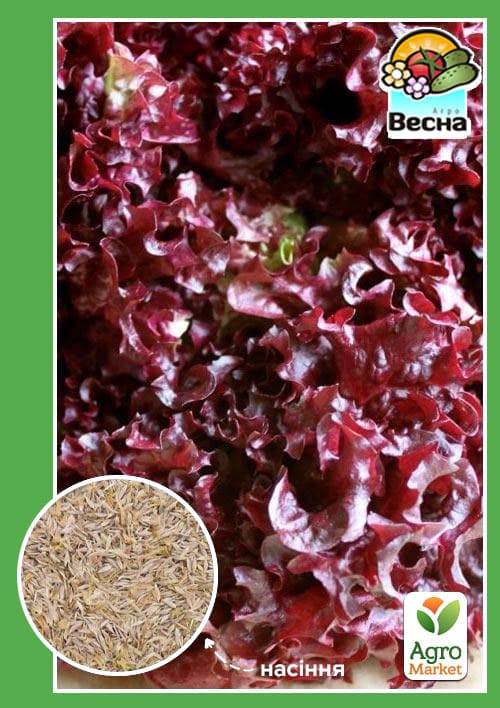 Салат "Лолло роса" ТМ "Весна" 0.5г