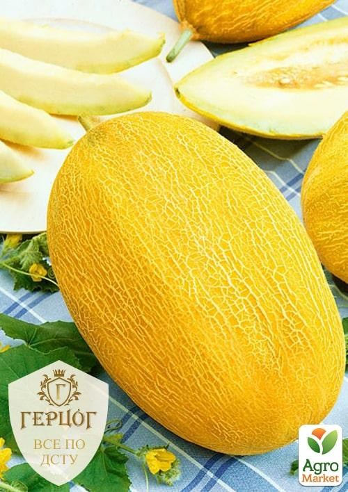 Дыня "Герцог" "Ананас" ТМ "Весна" 4г
