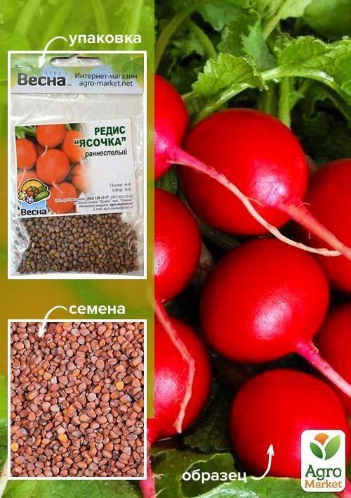 Редис "Ясочка" (Зипер) ТМ "Весна" 7г