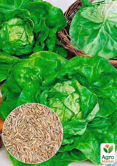 На развес Салат "Сенатор" ТМ "Весна" цена за 5г