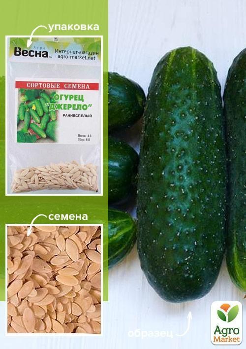 Огурец "Джерело" (Зипер) ТМ "Весна" 3г