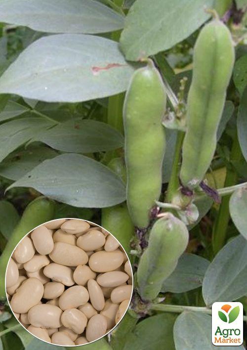 На вагу Боби "Білі" ТМ "Весна" ціна за 10г