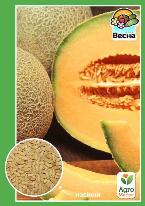 Дыня "Ананас" ТМ "Весна" 1.5г