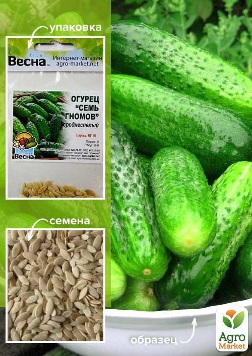 Огірок "Сім гномів" (Зипер) ТМ "Весна" 1.5г