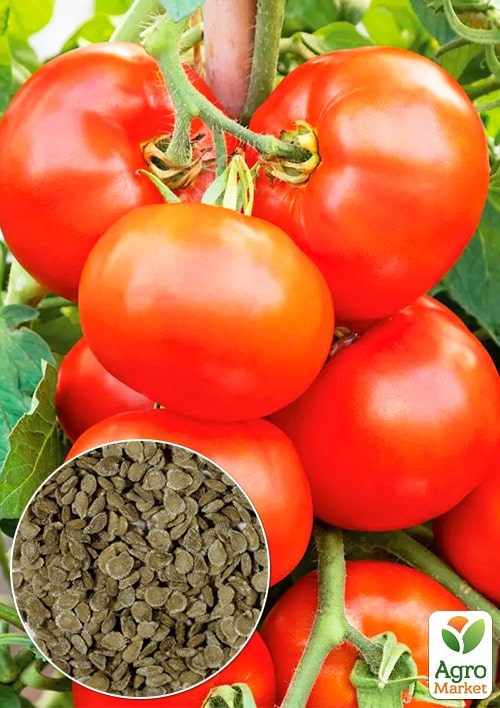 Томат "Аризона" ТМ "Весна" 0.1г