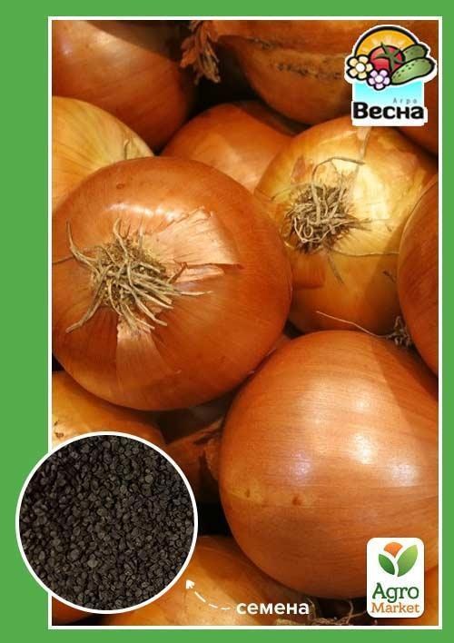 Цибуля "Стригунівський" ТМ "Весна" 2г