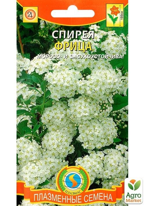 Спирея "Фрица" ТМ "Плазменные семена" 0,03г NEW