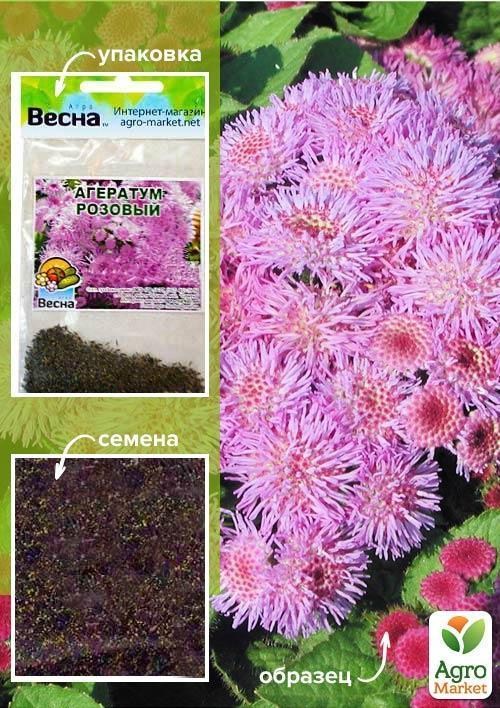 Агератум "Рожевий" (Зипер) ТМ "Весна" 1г
