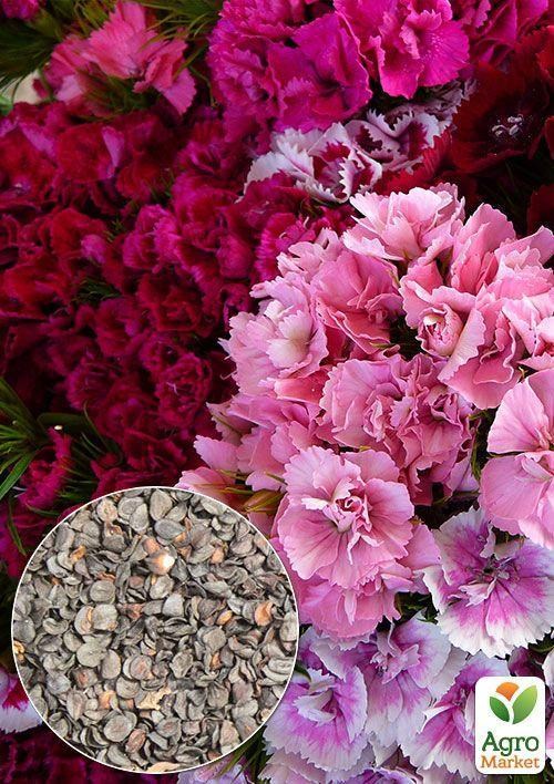 На развес Гвоздика турецкая смесь ТМ "Весна" цена за 1,5г