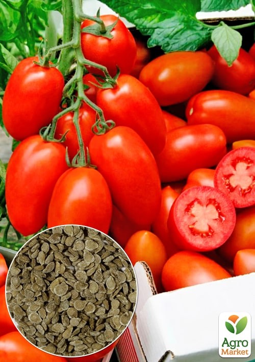 На развес Томат "Сэр Элиан" ТМ "Весна" цена за 1г