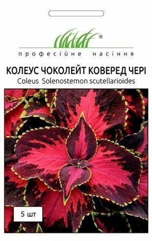 Колеус "Чоколейт Коверед Чери" ТМ "Hem Zaden" 5шт