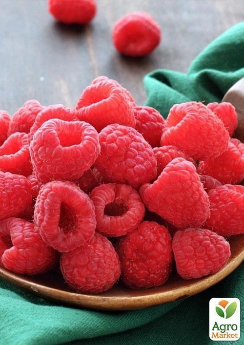 Эксклюзив! Малина светло-красная "Лори" (Lori) (премиальный ремонтантный сорт) - фото 4