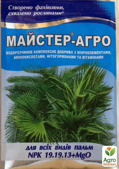 Минеральное Удобрение Master(Мастер) NPK 19.19.13 "Для пальм" ТМ "Valagro" 25г