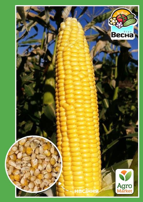 Кукурудза "Цукрова" ТМ "Весна" 10г