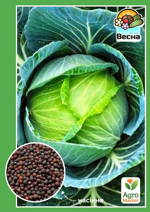 Капуста середньостигла "Надія" ТМ "Весна" 0.5г - фото 2