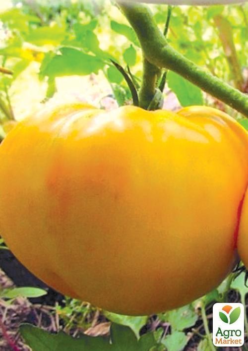 Томат "Pineapple Pudding" ТМ "Vesna Select" 0.2г