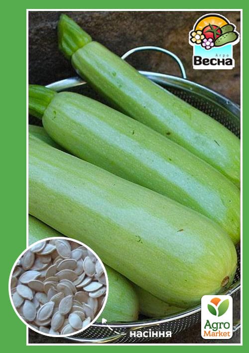 Кабачок "Чаклун" ТМ "Весна" 2г