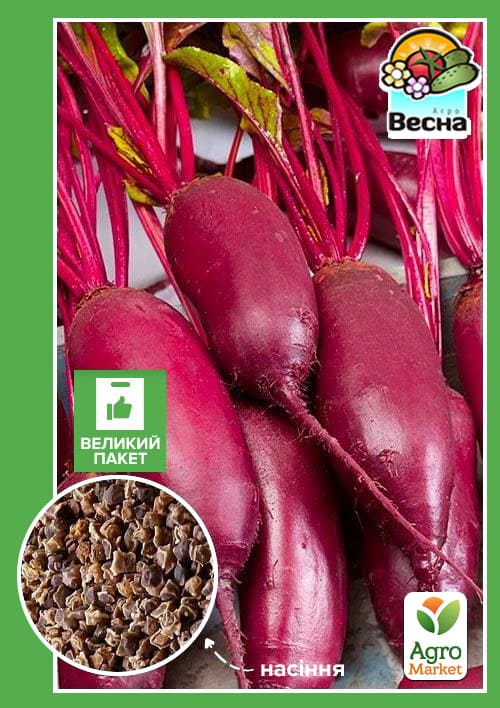 Свекла "Опольская" (Большой пакет) ТМ "Весна" 6г