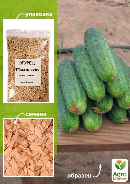 Огурец "Пальчик" ТМ "Весна" 100г