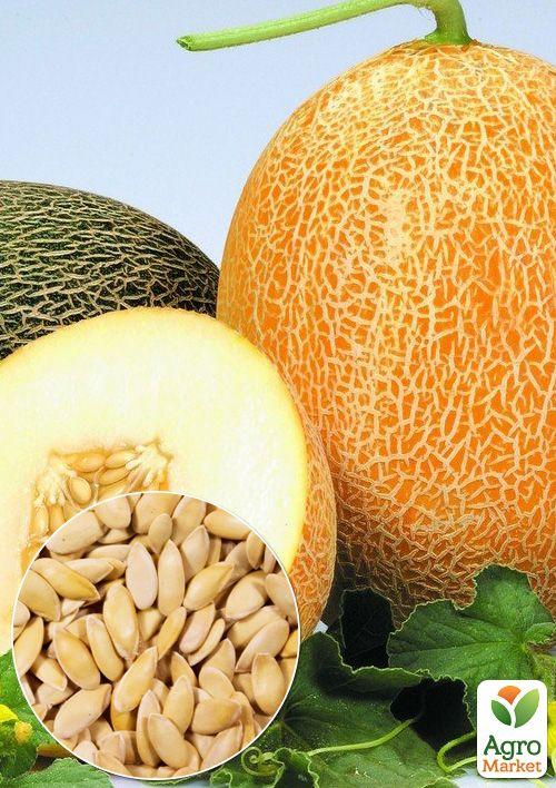 На развес Дыня "Карамель" ТМ "Весна" цена за 6г