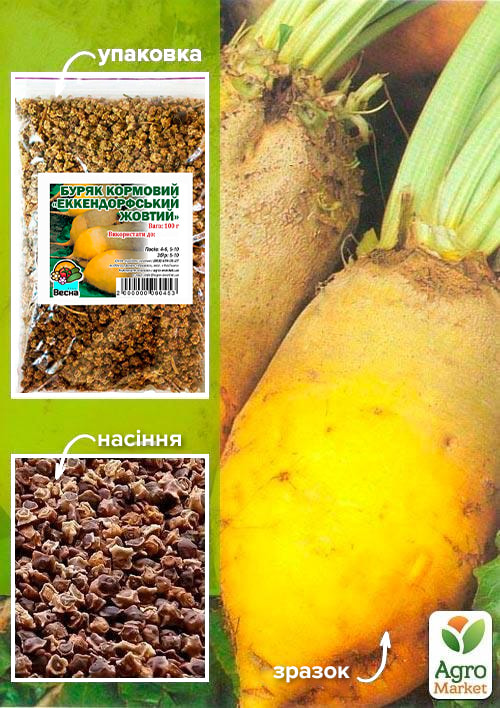 Буряк кормовий "Еккендорфський жовтий" ТМ "Весна" 100г