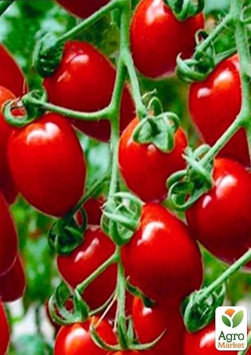 Томат детермінантний чері "Френзі F1" ТМ "Lark Seeds" 1000шт