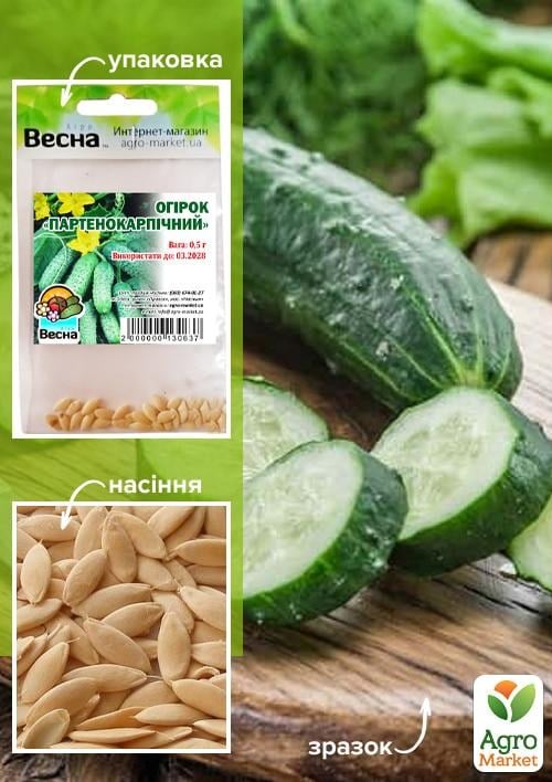 Огурец "Партенокарпический" (Зипер) ТМ "Весна" 0.5г
