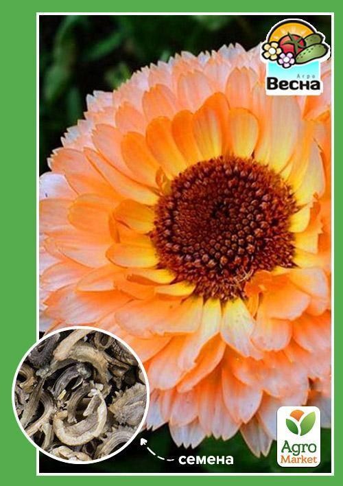 Календула "Розовый Сюрприз" ТМ "Весна" 0.5г