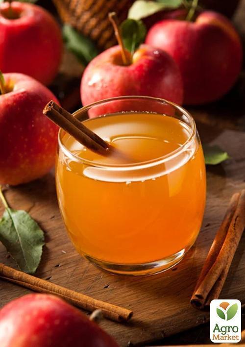 Яблоня "Лигол" (зимний сорт) - фото 4