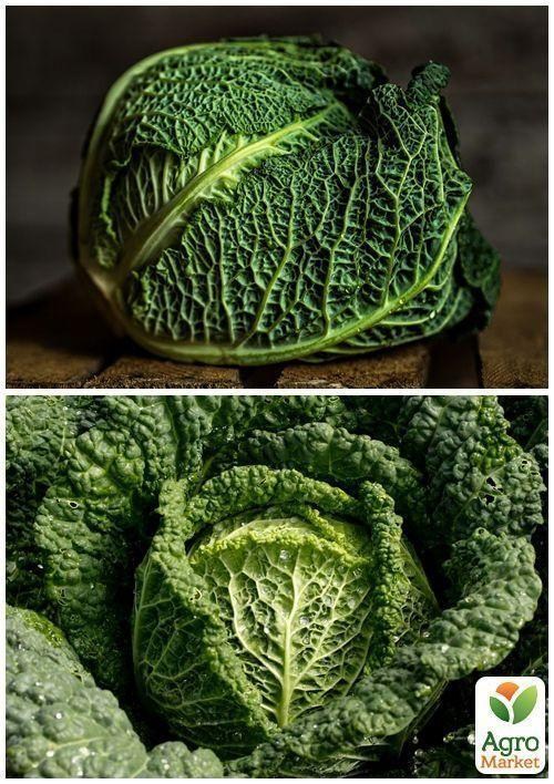 На вагу Капуста "Савойська" ТМ "Весна" ціна за 2г - фото 2
