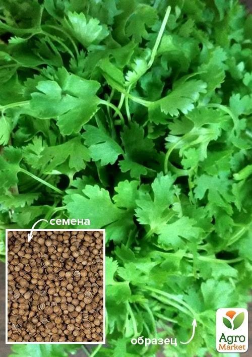 Коріандр "Прелесть" ТМ "Весна" 500г