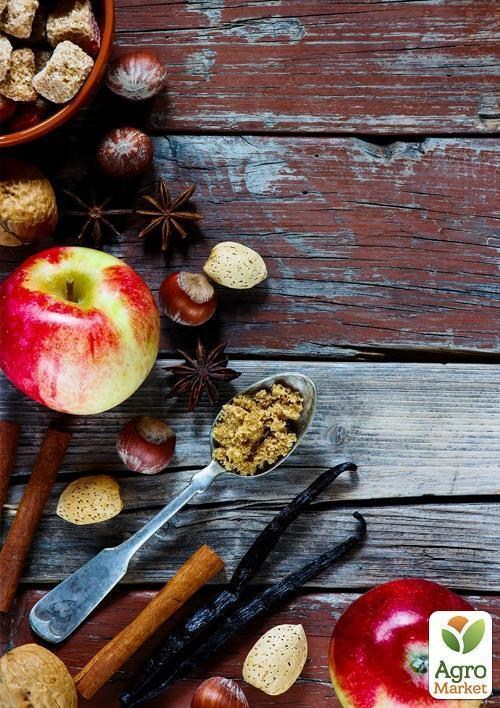 Яблоня "Элизе" (зимний сорт, поздний срок созревания) - фото 2