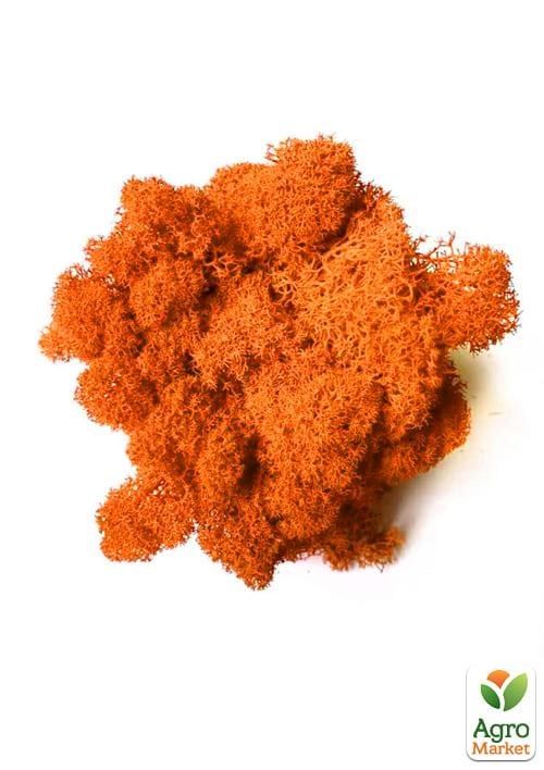 Норвежский мох стабилизированный  "Оранжевый"  500 г