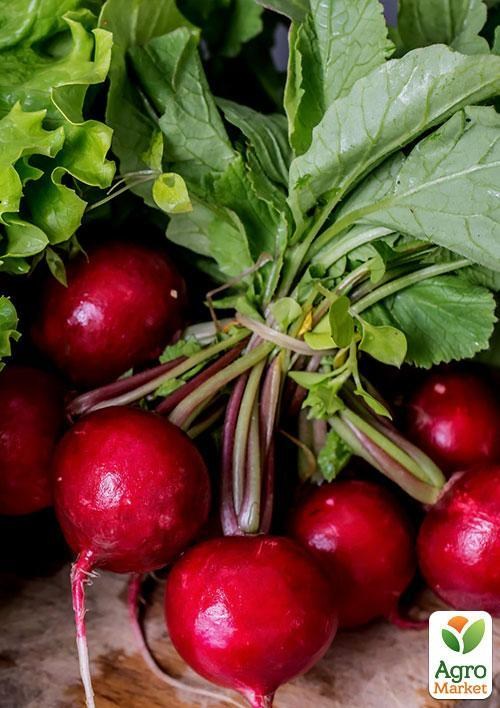 Редис "Кармен" (в банке) ТМ "Весна Органик" 30г