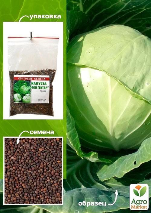 Капуста "Золотий гектар" ТМ "Весна" 100г